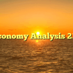 Economy Analysis 233