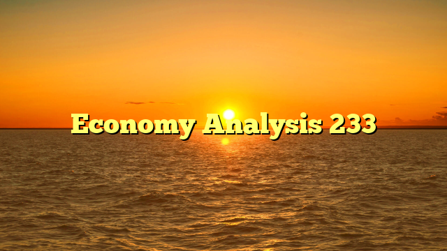 Economy Analysis 233