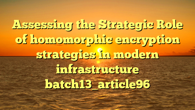 Assessing the Strategic Role of homomorphic encryption strategies in modern infrastructure batch13_article96